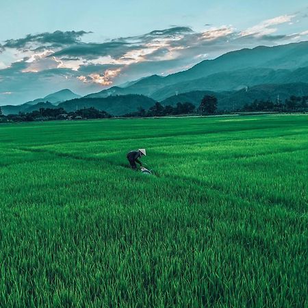 Hoi An Paddy House Homestay Εξωτερικό φωτογραφία