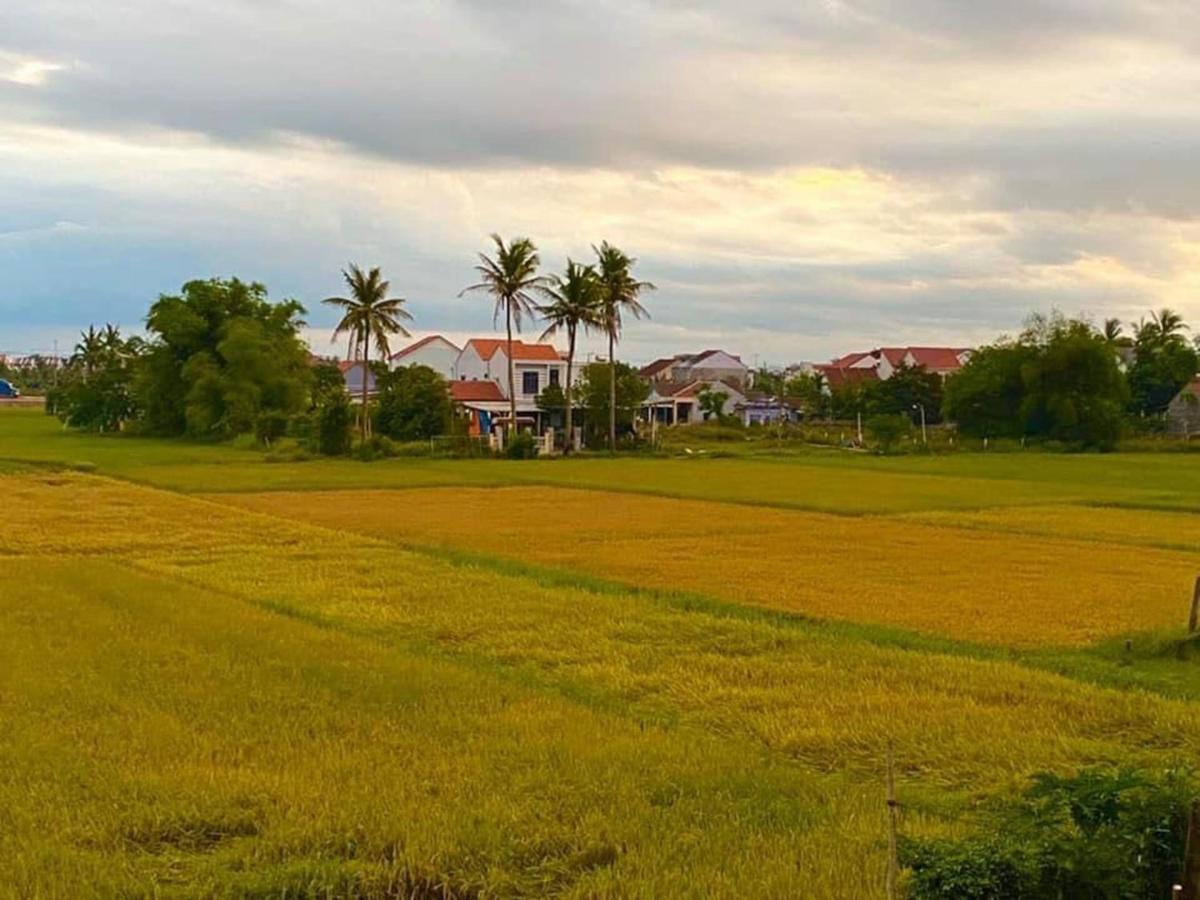 Hoi An Paddy House Homestay Εξωτερικό φωτογραφία
